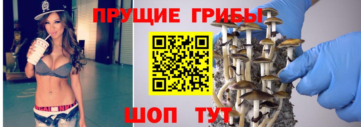 Галлюциногенные грибы мицелий Абакан
