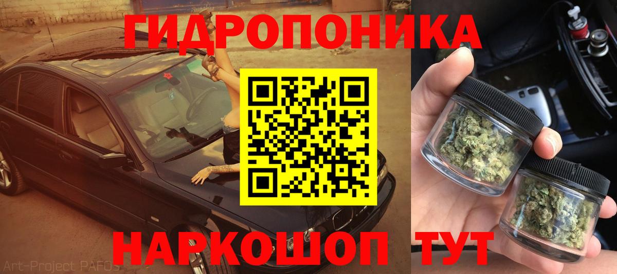 Бошки Шишки планчик Абакан